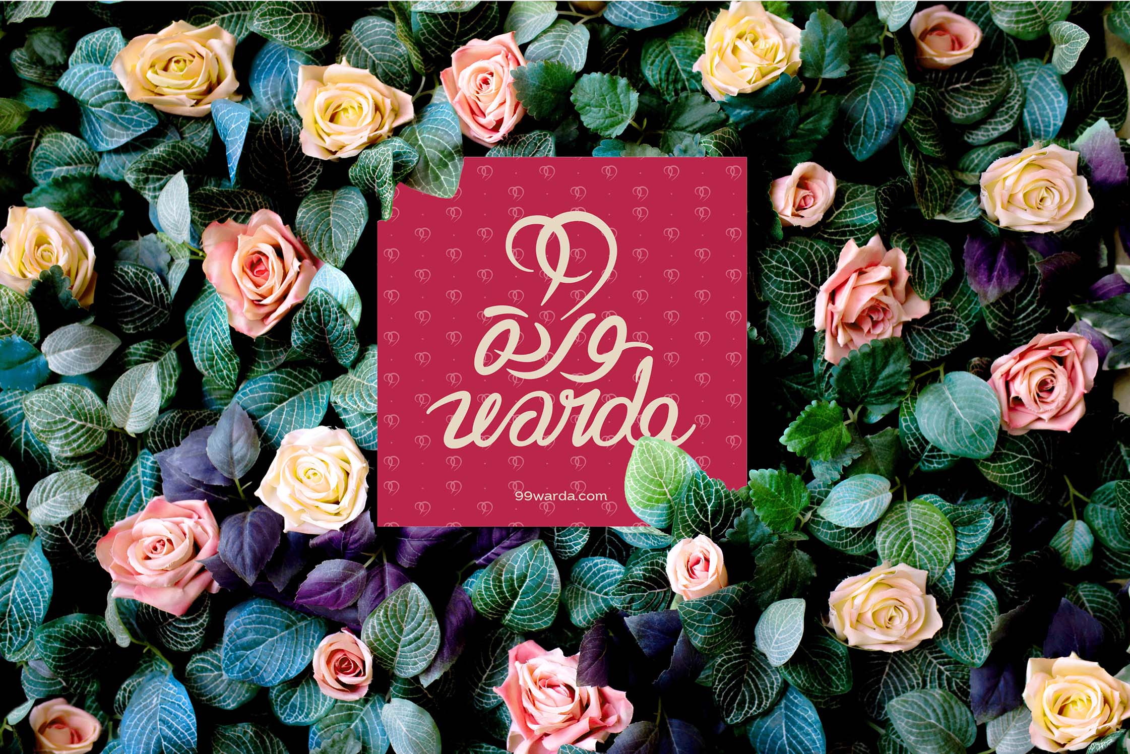 99 warda project by Generator